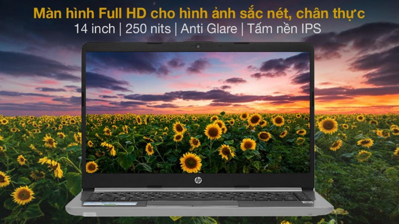 màn hình của HP 240 G8 i3