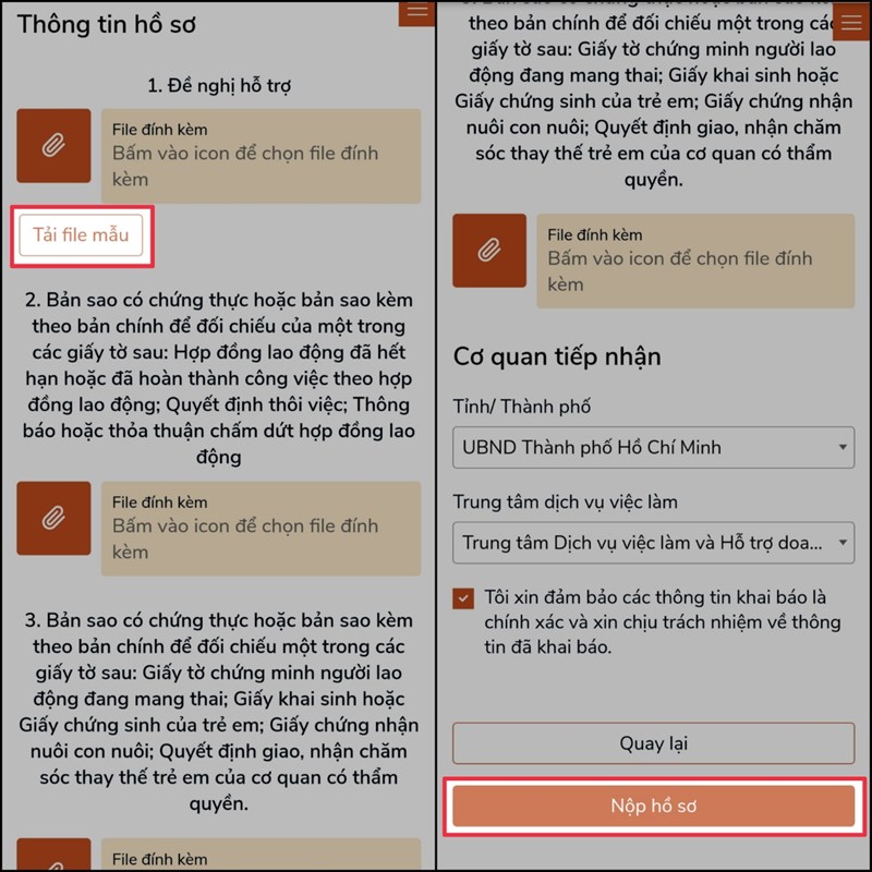 Nộp hồ sơ trợ cấp thất nghiệp online Nộp hồ sơ trợ cấp thất nghiệp online