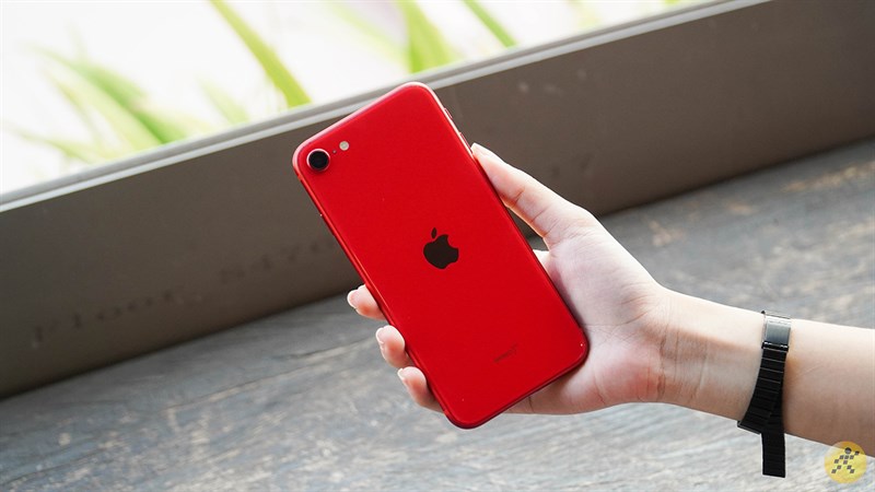 Vài ngày nữa là ra iPhone mới rồi, có nên mua các đời iPhone cũ không? Nên mua đời nào mới là tối ưu nhất?