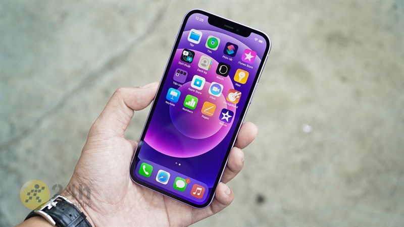 iPhone 12 iPhone 12