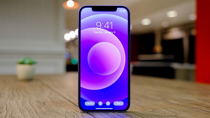 Tai thỏ trên iPhone 12 Tai thỏ trên iPhone 12