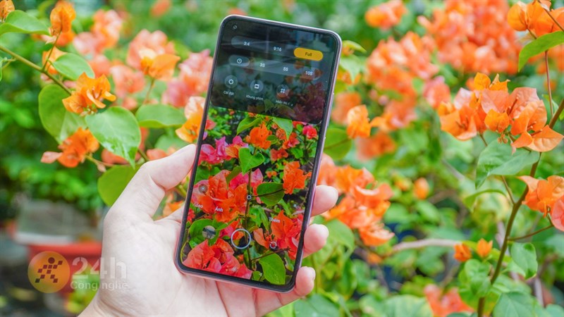 Xiaomi 11 Lite 5G NE