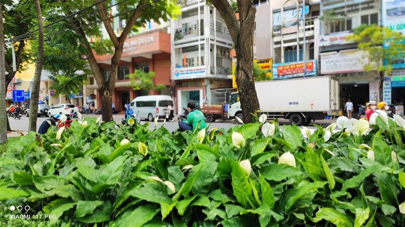 Camera của máy chụp trong điều kiện ánh sáng đầy đủ cho ra hình ảnh chất lượng. Camera của máy chụp trong điều kiện ánh sáng đầy đủ cho ra hình ảnh chất lượng.