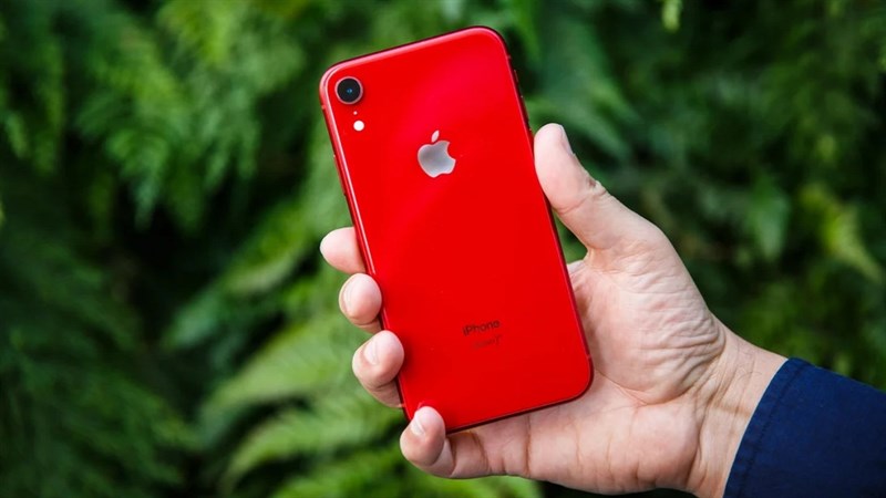 Giảm đến 1.5 triệu đồng, giá iPhone Xr hiện nay tại TGDĐ có gì hot? Giảm đến 1.5 triệu đồng, giá iPhone Xr hiện nay tại TGDĐ có gì hot?