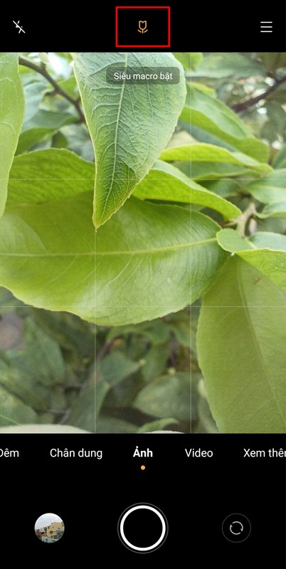 Chụp Macro Chụp Macro