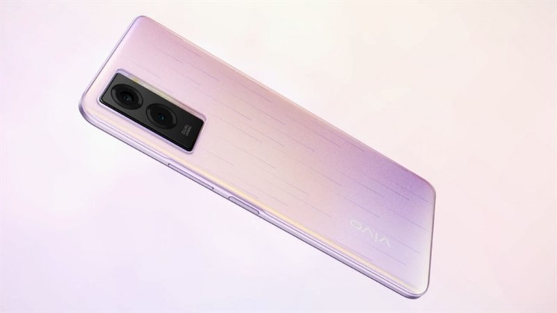 vivo vivo