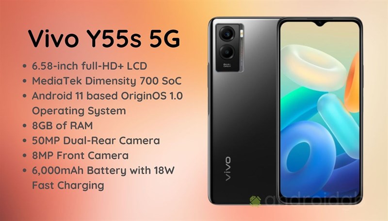 vivo vivo