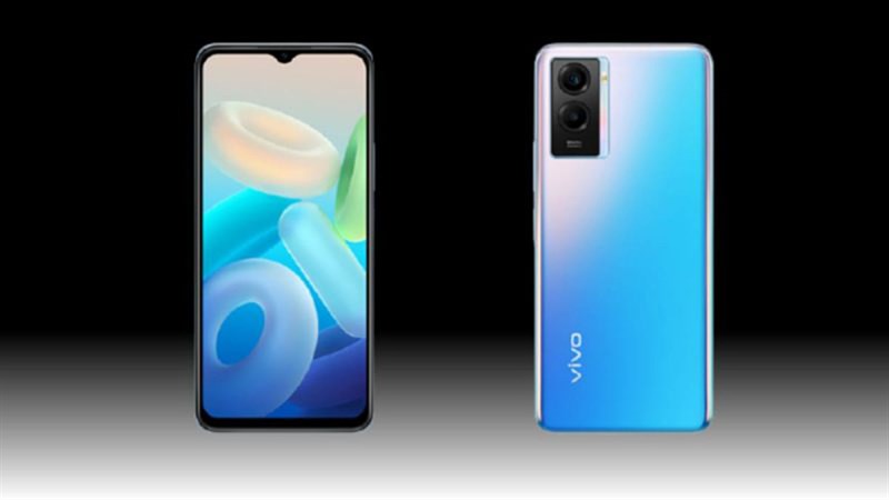 vivo vivo