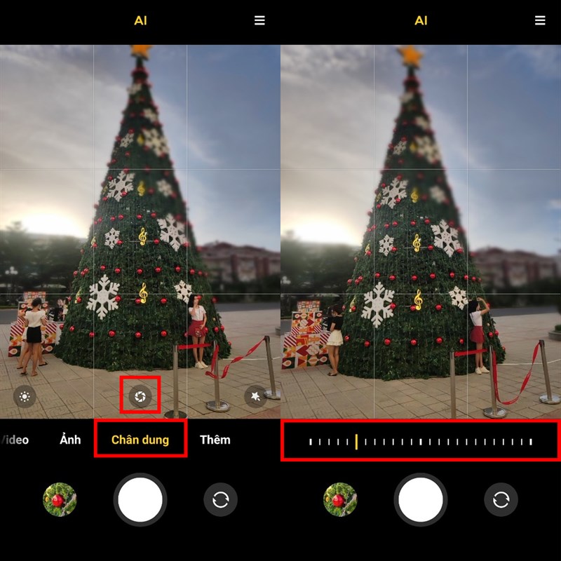 Chụp ảnh Noel Chụp ảnh Noel