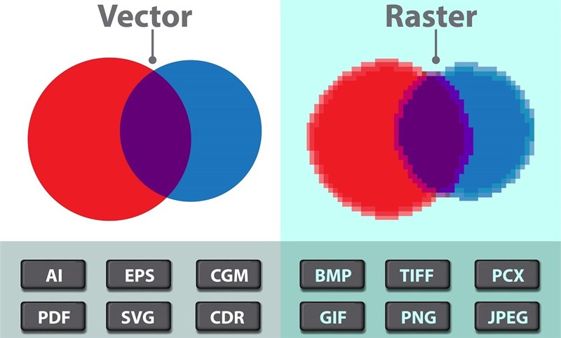 Hỗ trợ tạo ảnh minh hoạ Vector cực ổn