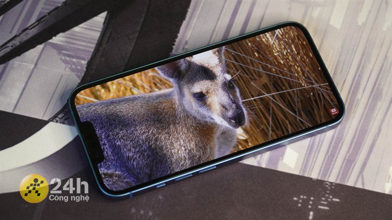 iphone 13 iphone 13