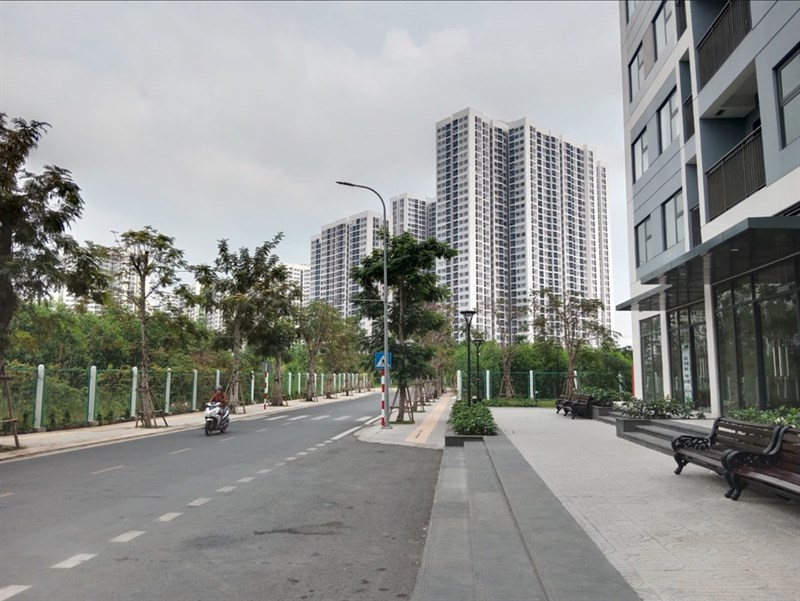 Ảnh chụp của Vivo Y33s trong điều kiện đủ sáng 