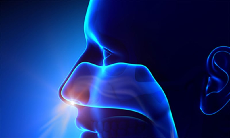 Phải làm thế nào nếu mất khứu giác khi nhiễm Covid-19 Phải làm thế nào nếu mất khứu giác khi nhiễm Covid-19