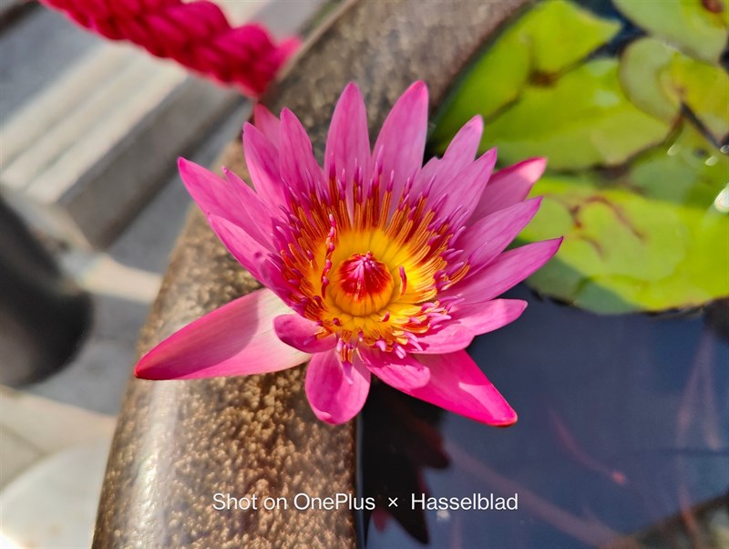 OnePlus 10 Pro Camera chính 48 MP OnePlus 10 Pro Camera chính 48 MP