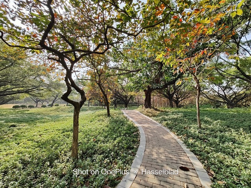 OnePlus 10 Pro Camera góc siệu rộng OnePlus 10 Pro Camera góc siệu rộng