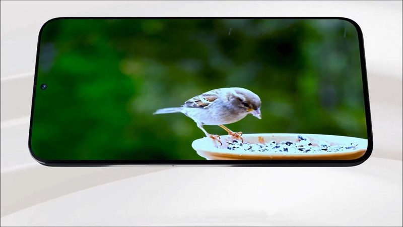 Redmi L19 Redmi L19