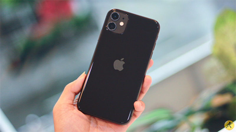 Thiết kế mặt sau iPhone 11 Thiết kế mặt sau iPhone 11