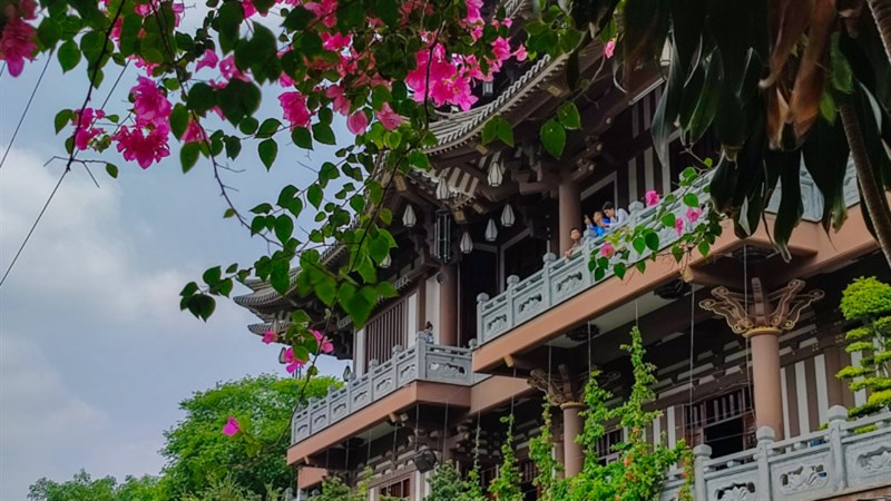 Hình ảnh sắc nét được chụp bởi camera của Redmi Note 10 Pro Hình ảnh sắc nét được chụp bởi camera của Redmi Note 10 Pro