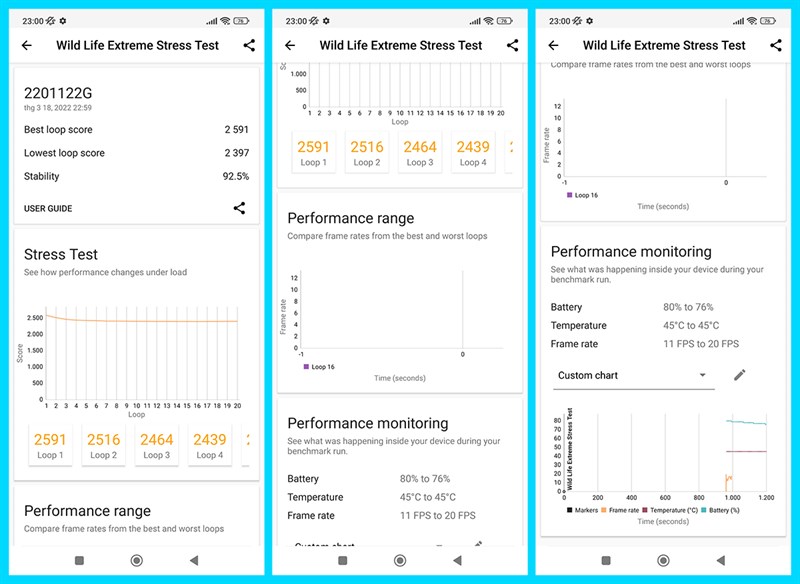 Kết quả bài test hiệu năng của Xiaomi 12 Pro với phần mềm Wild Life Extreme Stress Test.