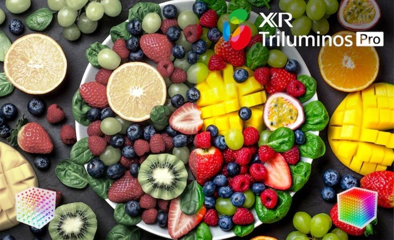TV BRAVIA XR 2022