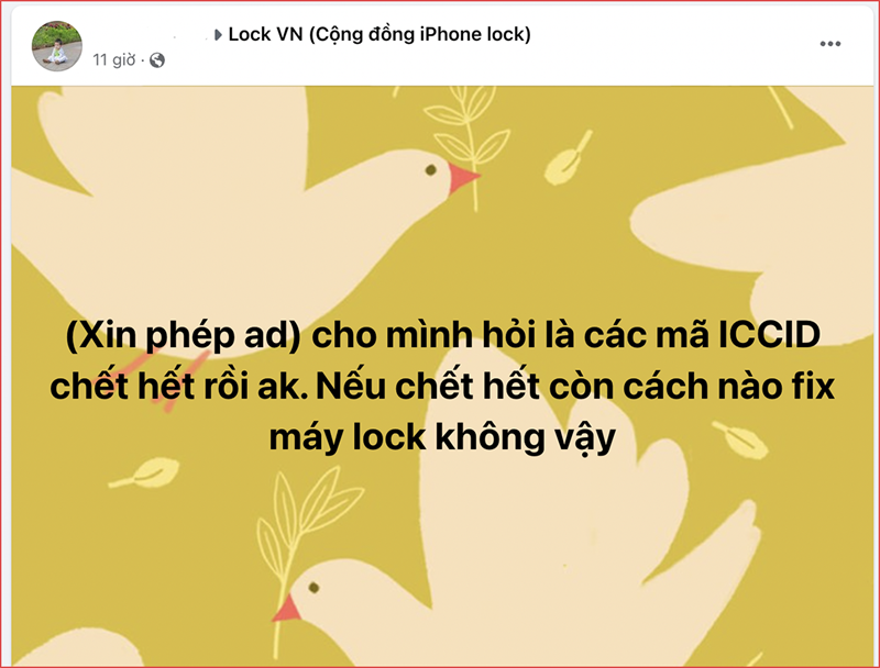 minhhoa minhhoa