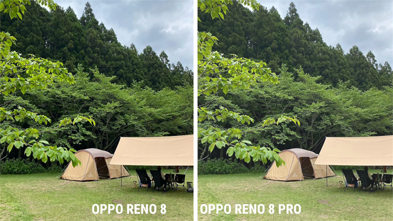 Ảnh từ camera chính trên OPPO Reno8 và OPPO Reno8 Pro