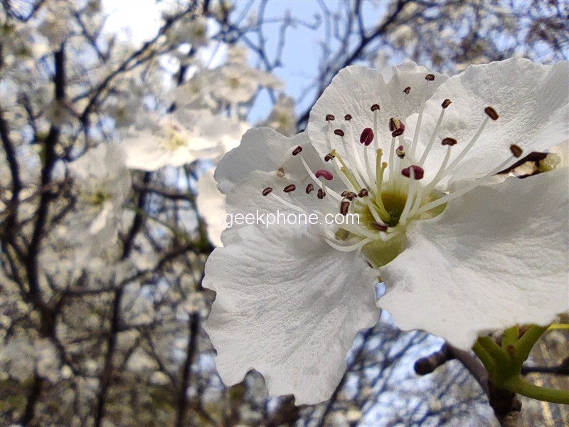 Ảnh chụp trong điều kiện đủ sáng bằng camera macro trên Redmi K40S