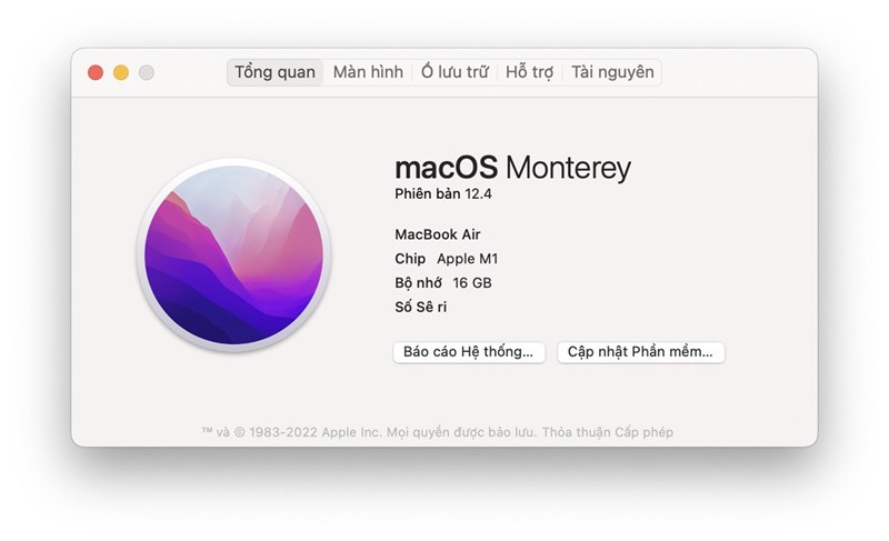 Cấu hình Macbook Air M1 đang chạy phiên bản macOS Monterey 12.4 Cấu hình Macbook Air M1 đang chạy phiên bản macOS Monterey 12.4