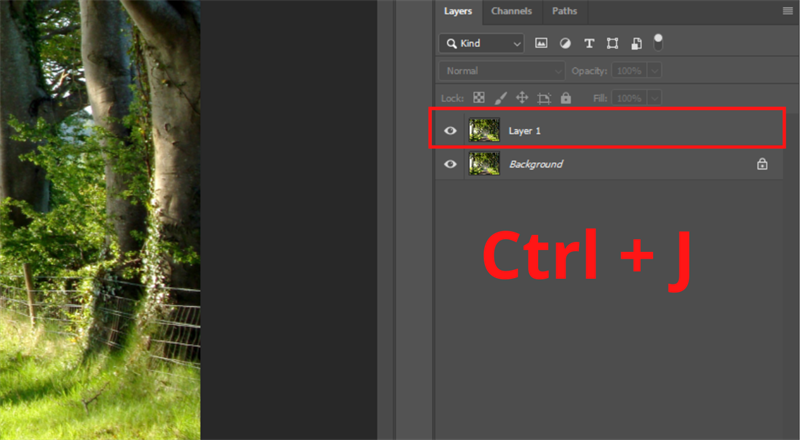 Trong giao diện thiết kế của Photoshop, nhấn tổ hợp phím Ctrl + J để nhân đôi bức ảnh lên lớp mới.