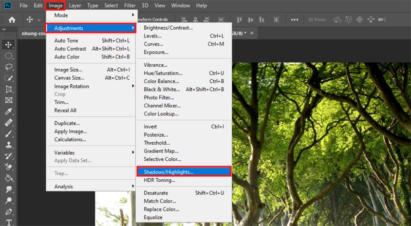 Nhấn chọn vào Layer vừa mới tạo bên trên, sau đó truy cập vào Image > Adjustment > Shadows/Highlights.