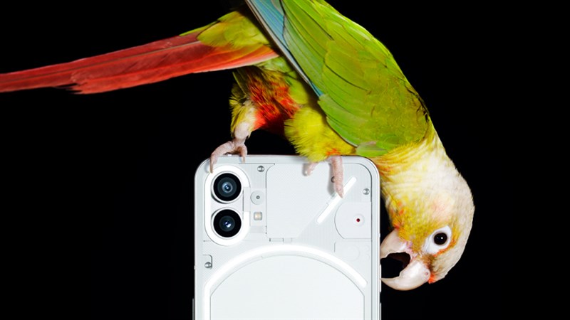 Tải về hình nền của Nothing Phone (1) Tải về hình nền của Nothing Phone (1)