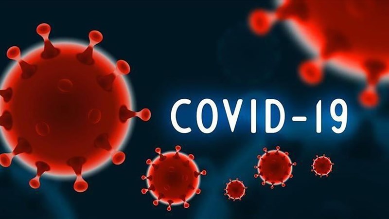 Hình ảnh COVID-19 Hình ảnh COVID-19