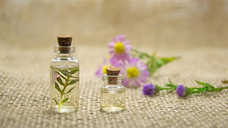 Những loại tinh dầu tự nhiên sẽ giúp đuổi muỗi hiệu quả. Nguồn: IndiaToday Những loại tinh dầu tự nhiên sẽ giúp đuổi muỗi hiệu quả. Nguồn: IndiaToday