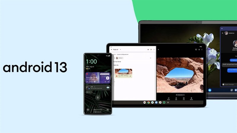 Hình ảnh hệ sinh thái Android 13