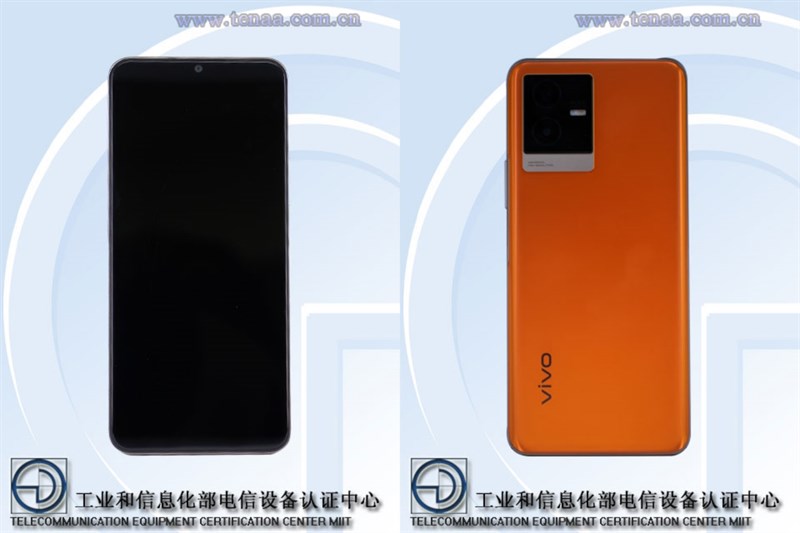 Hình ảnh Vivo V2164PA trên TENAA Hình ảnh Vivo V2164PA trên TENAA