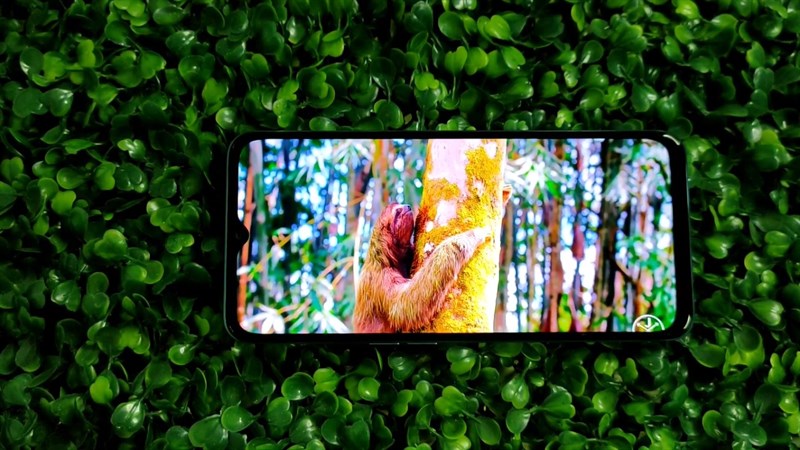 OPPO A77s sẽ được trang bị màn hình HD+ mang đến khả năng hiển thị tốt