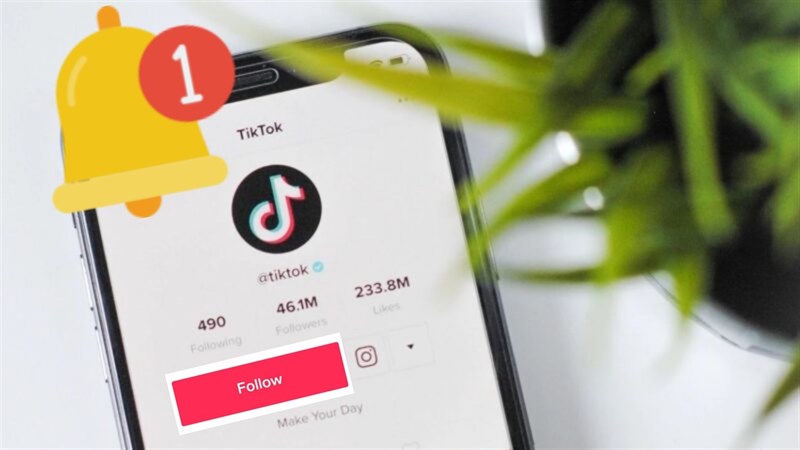 Hướng dẫn cách bật thông báo tài khoản TikTok đang follow