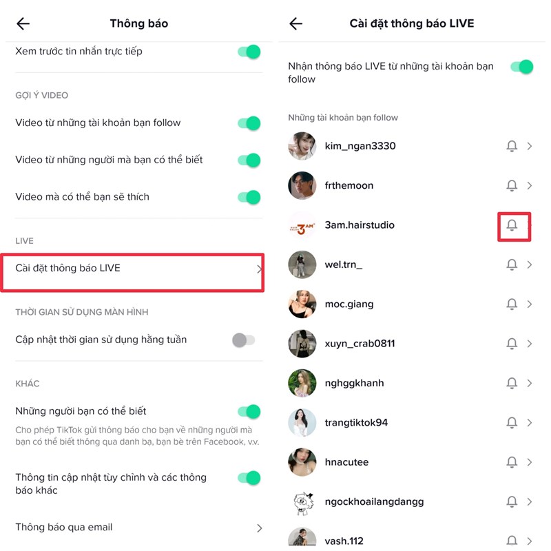 Hướng dẫn bật thông báo TikTok cho những tài khoản bạn đang follow