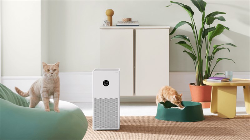 Máy lọc Xiaomi Máy lọc Xiaomi