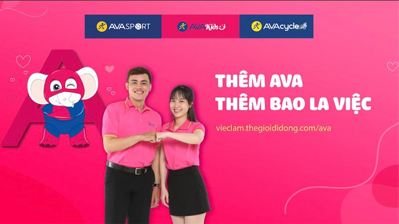 Tuyển việc làm AVA