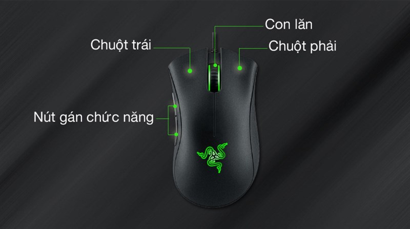 Chuột Có dây Gaming Razer DeathAdder Essential - Chuột Gaming chất lượng Chuột Có dây Gaming Razer DeathAdder Essential - Chuột Gaming chất lượng