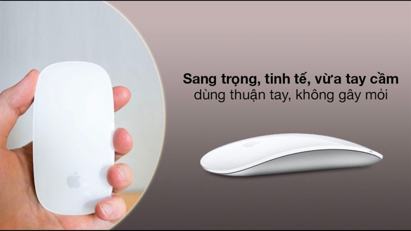 Chuột bluetooth Chuột bluetooth