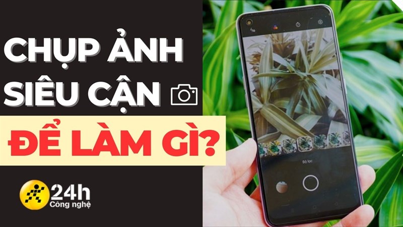 Chụp siêu cận dùng để làm gì? Một vài mẫu smartphone có camera macro tốt!