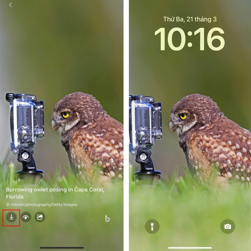 Cách lưu hình nền từ Bing AI iOS Cách lưu hình nền từ Bing AI iOS