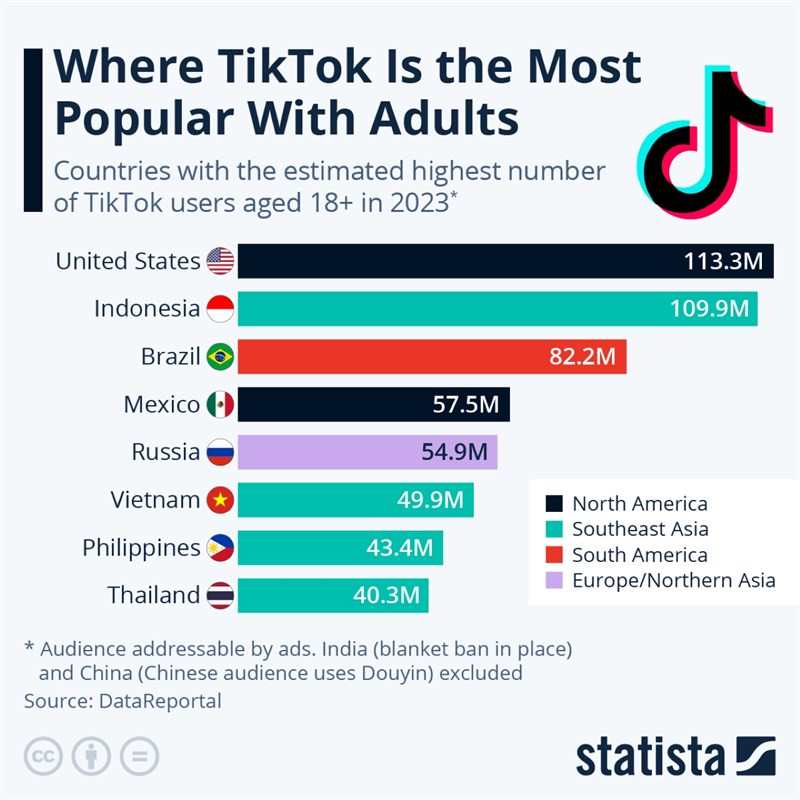 Bảng số liệu được DataReportal đăng tải trên Statista