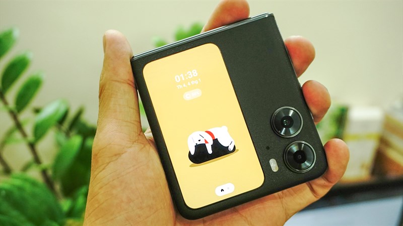 Cách nuôi thú cưng trên màn hình ngoài OPPO Find N2 Flip Cách nuôi thú cưng trên màn hình ngoài OPPO Find N2 Flip