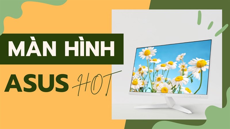 Thỏa mãn nhu cầu giải trí với loạt màn hình Asus đáng mua nhất