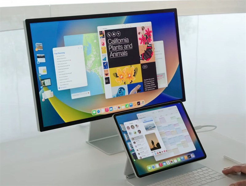 iPadOS iPadOS