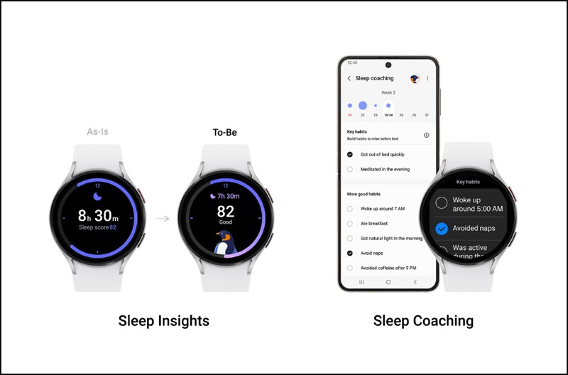 Giao diện Sleep Insights và Sleep Coaching mới