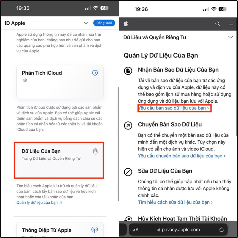 Cách tải xuống dữ liệu từ iCloud của bạn